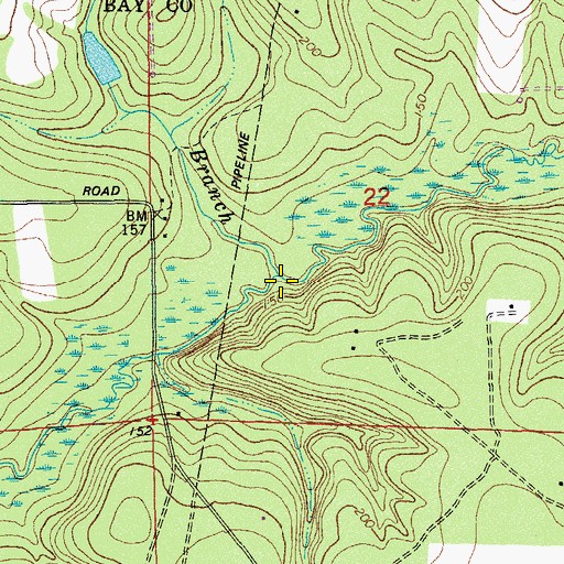 Topographic Map of Long Branch, FL