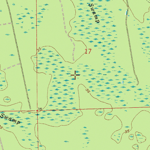 Topographic Map of Long Swamp, FL