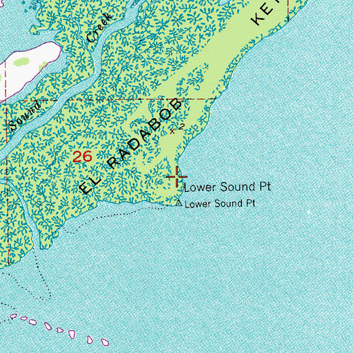Topographic Map of Lower Sound Point, FL