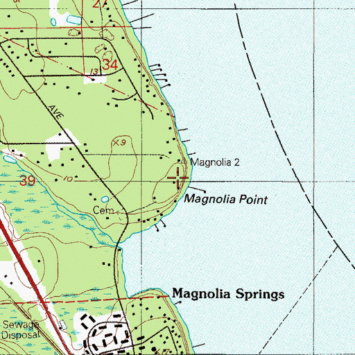 Topographic Map of Magnolia Point, FL