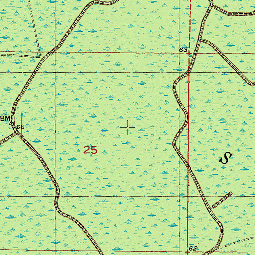 Topographic Map of Mallory Swamp, FL