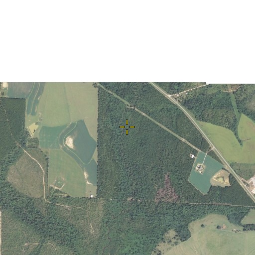 Aerial/Satellite Image of Malloy Branch, FL