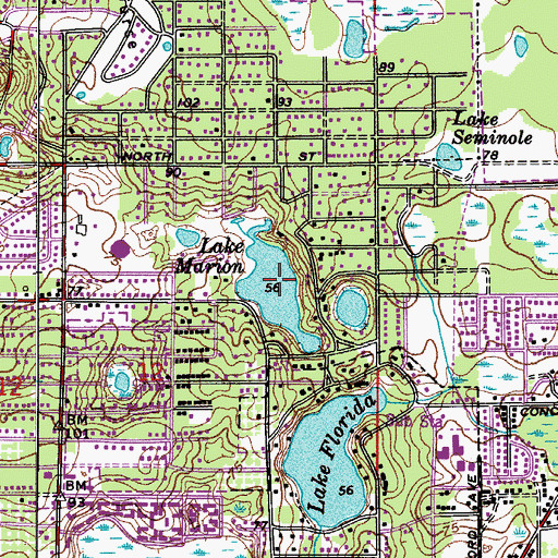 Topographic Map of Lake Marion, FL