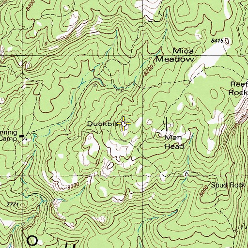 Topographic Map of Duckbill, AZ