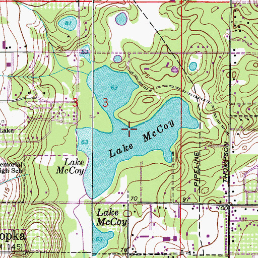Topographic Map of Lake McCoy, FL
