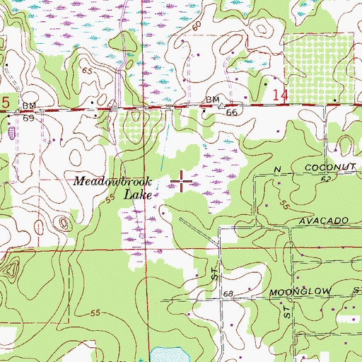 Topographic Map of Meadowbrook Lake, FL