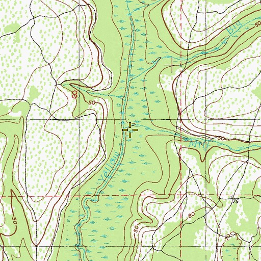 Topographic Map of Mill Branch, FL