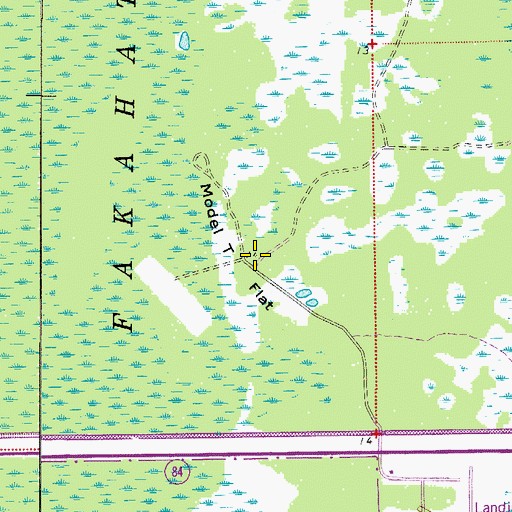 Topographic Map of Model T Flat, FL