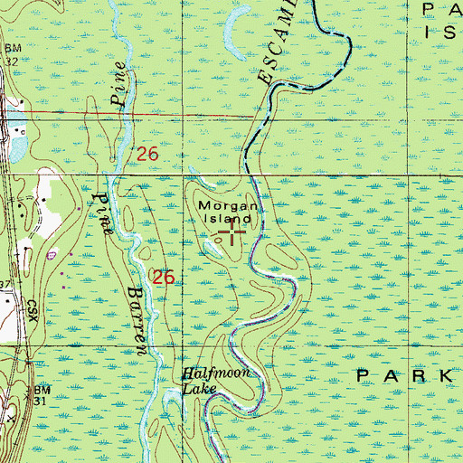 Topographic Map of Morgan Island, FL