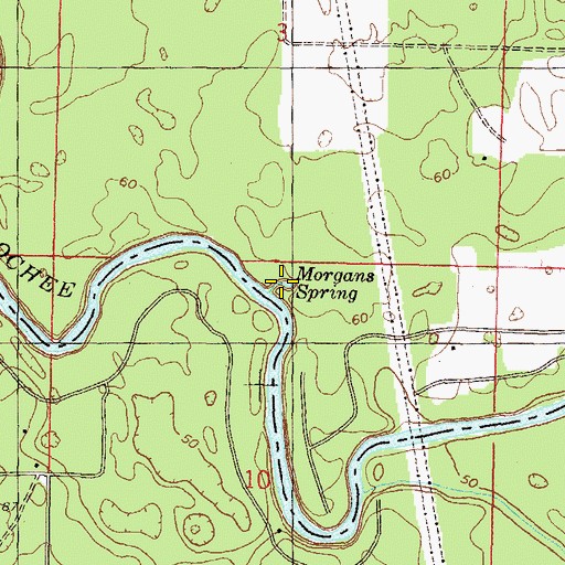 Topographic Map of Morgans Spring, FL