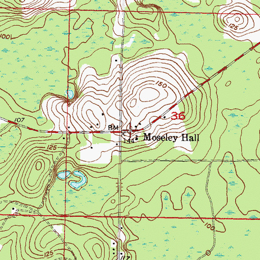 Topographic Map of Moseley Hall, FL