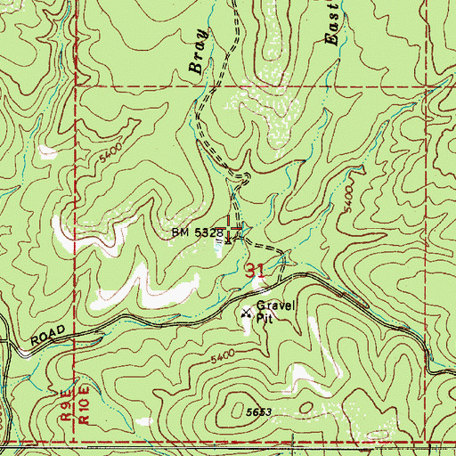 Topographic Map of East Bray Creek, AZ