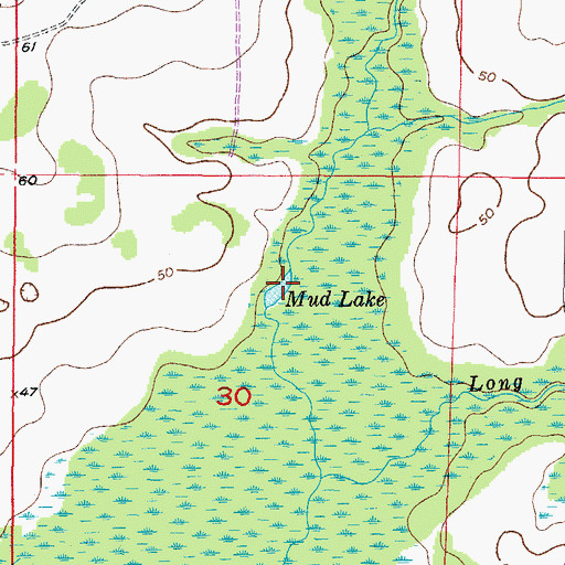 Topographic Map of Mud Lake, FL