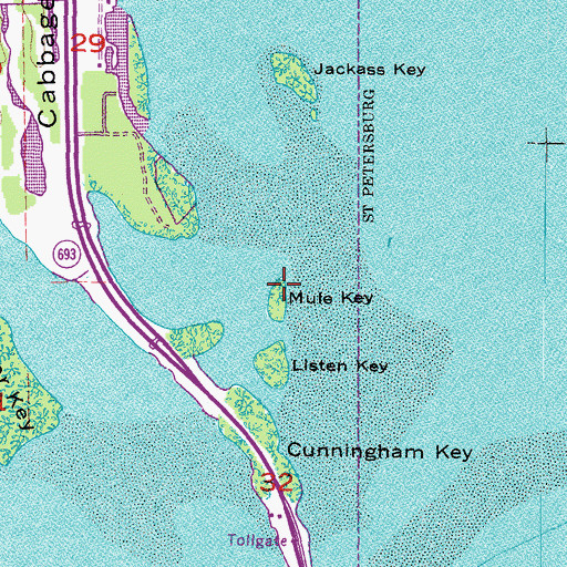 Topographic Map of Mule Key, FL