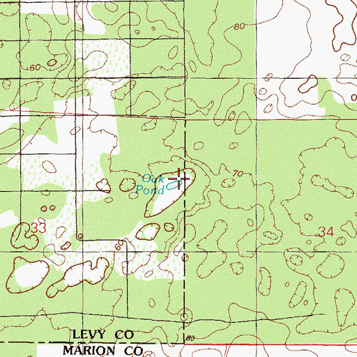Topographic Map of Oak Pond, FL