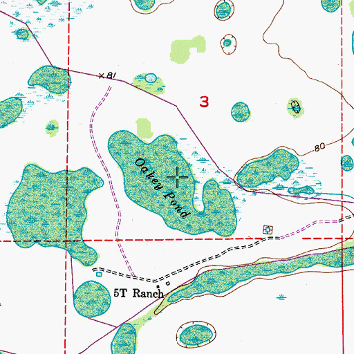 Topographic Map of Oakey Pond, FL