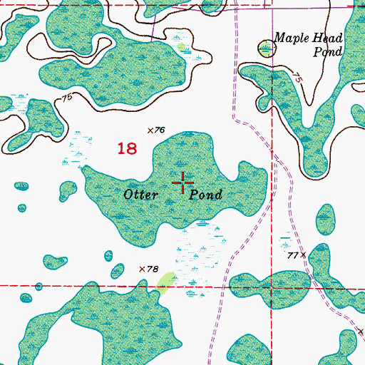 Topographic Map of Otter Pond, FL