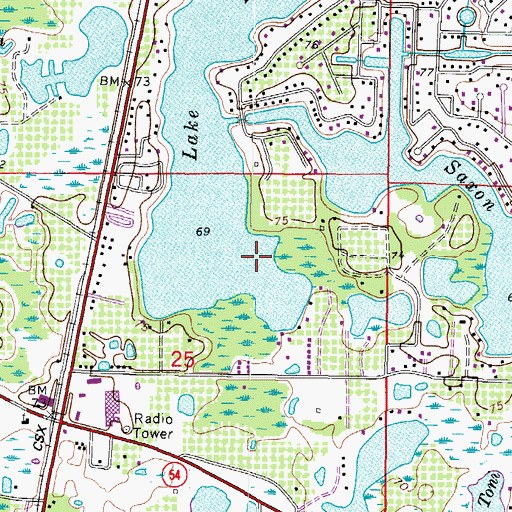Topographic Map of Padgett Lake, FL