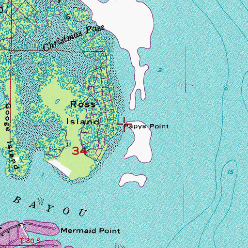 Topographic Map of Papys Point, FL