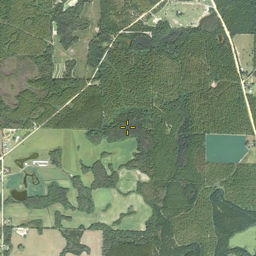 Aerial/Satellite Image of Pate Bay, FL