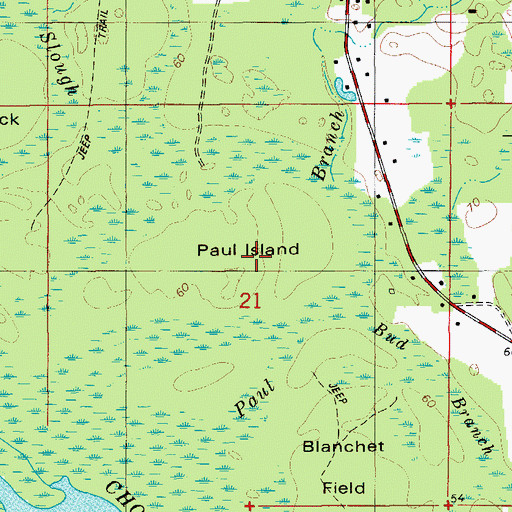 Topographic Map of Paul Island, FL