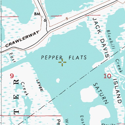 Topographic Map of Pepper Flats, FL