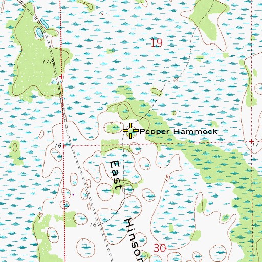 Topographic Map of Pepper Hammock, FL