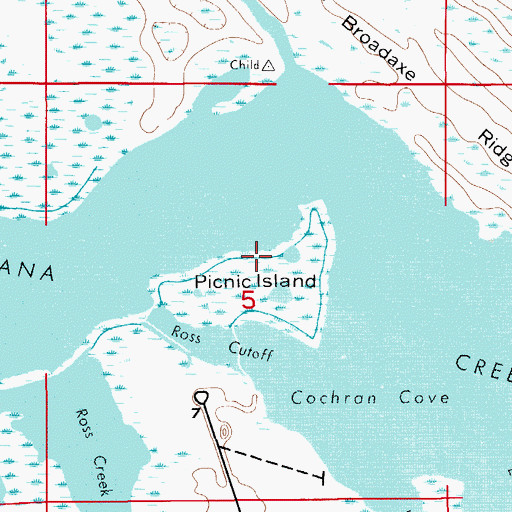 Topographic Map of Picnic Island, FL
