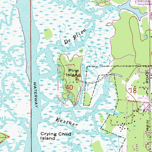 Topographic Map of Pine Island, FL