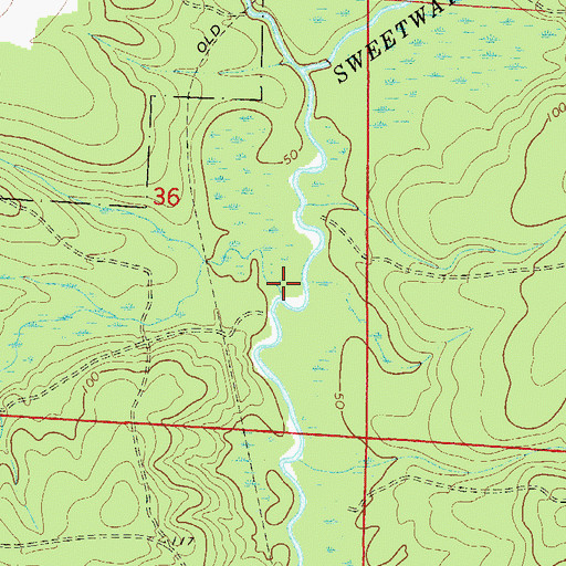 Topographic Map of Pittman Creek, FL