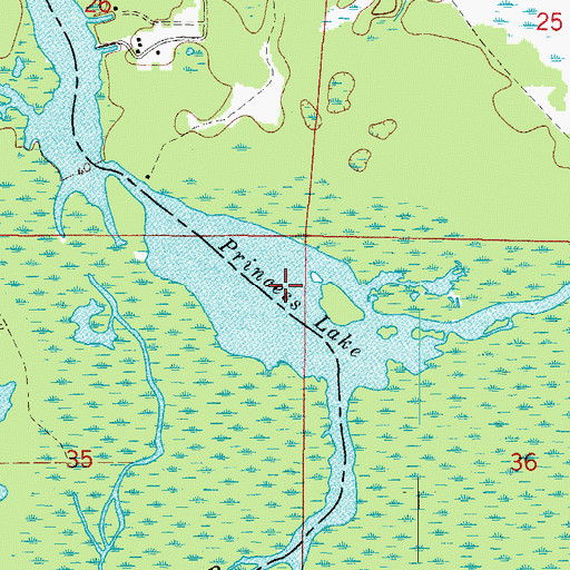 Topographic Map of Princess Lake, FL