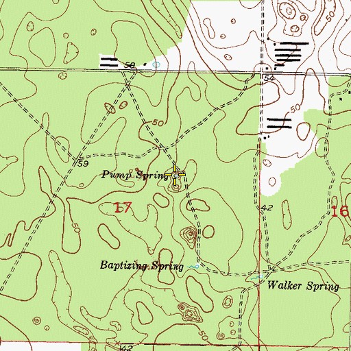 Topographic Map of Pump Spring, FL
