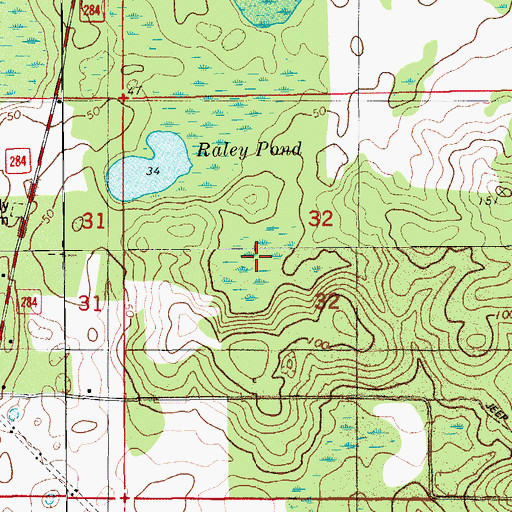 Topographic Map of Raley Pond, FL