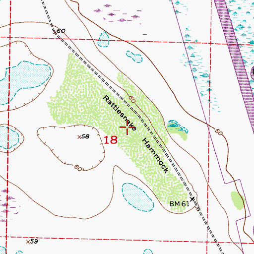 Topographic Map of Rattlesnake Hammock, FL