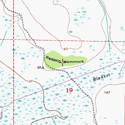 Topographic Map of Redskin Hammock, FL