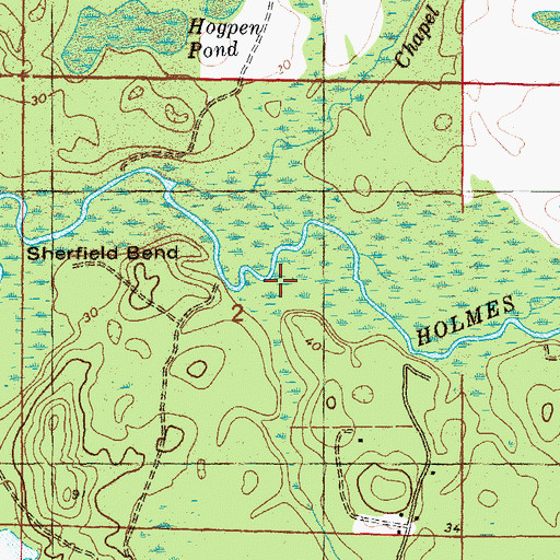 Topographic Map of Reedy Branch, FL