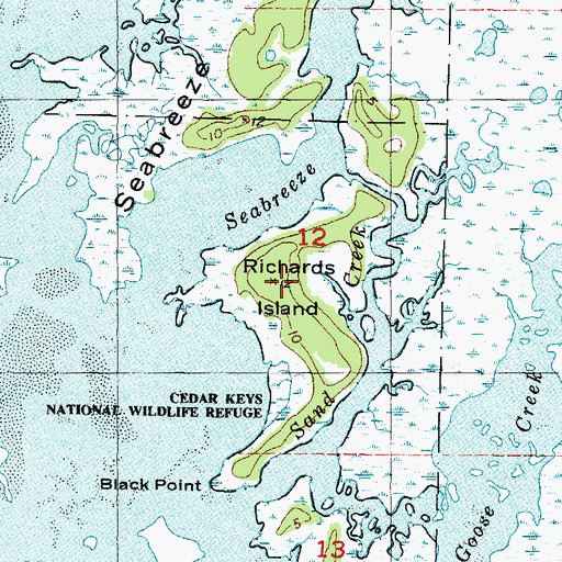 Topographic Map of Richards Island, FL