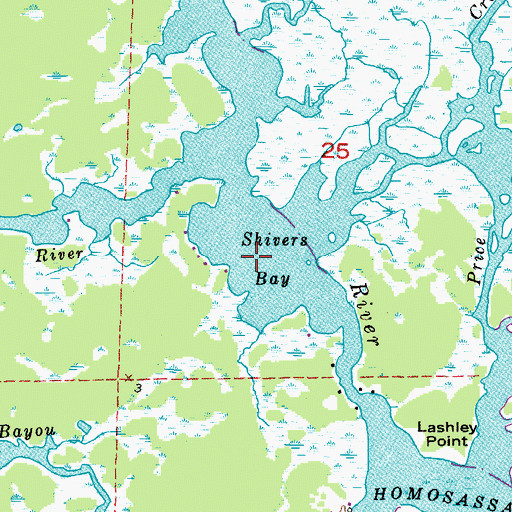 Topographic Map of Salt River, FL