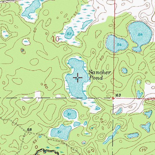 Topographic Map of Sancher Pond, FL
