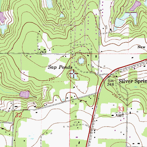 Topographic Map of Sap Ponds, FL