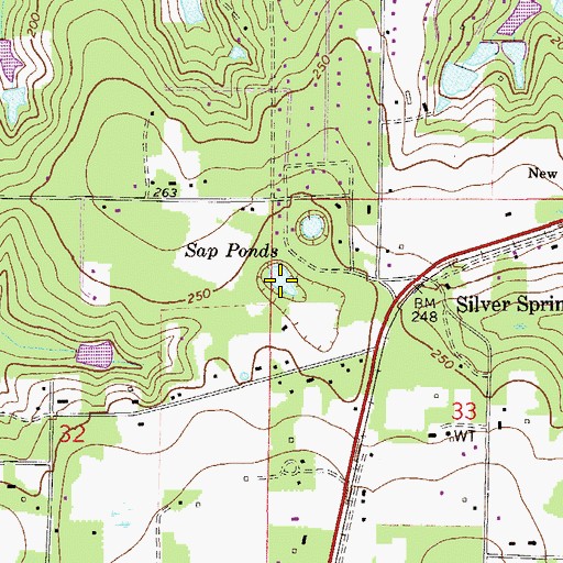 Topographic Map of Sap Ponds, FL