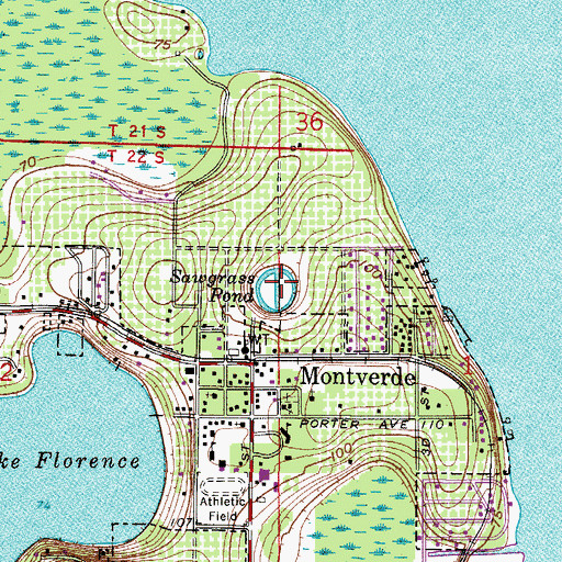 Topographic Map of Sawgrass Pond, FL