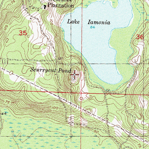 Topographic Map of Scurrycut Pond, FL