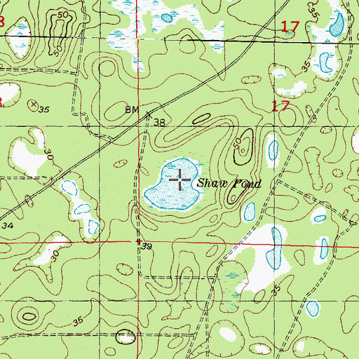 Topographic Map of Shaw Pond, FL