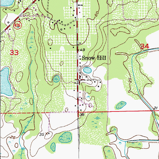 Topographic Map of Snow Hill, FL