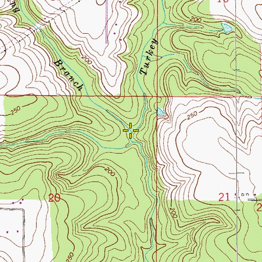 Topographic Map of Spring Branch, FL
