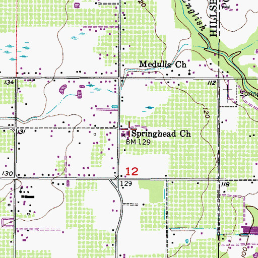 Topographic Map of Springhead Church, FL