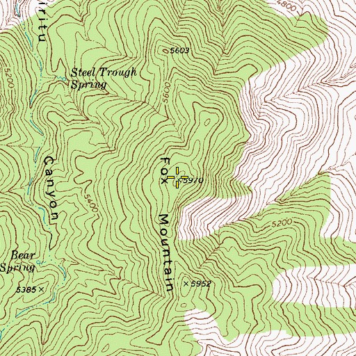 Topographic Map of Fox Mountain, AZ