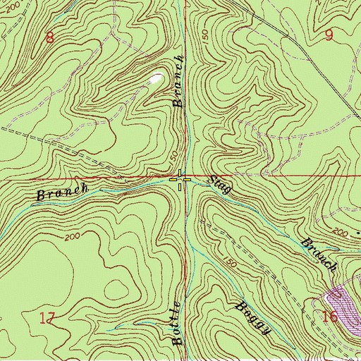 Topographic Map of Stag Branch, FL