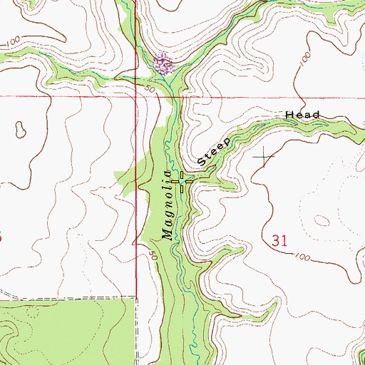 Topographic Map of Steep Head, FL